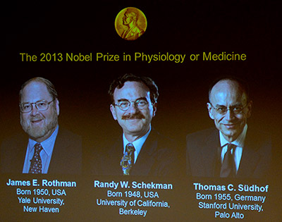 2013 Nobel Medicine Physiology